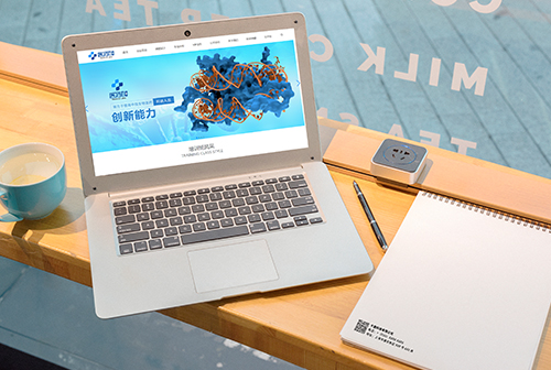 ʯ��ɽҽҩ��